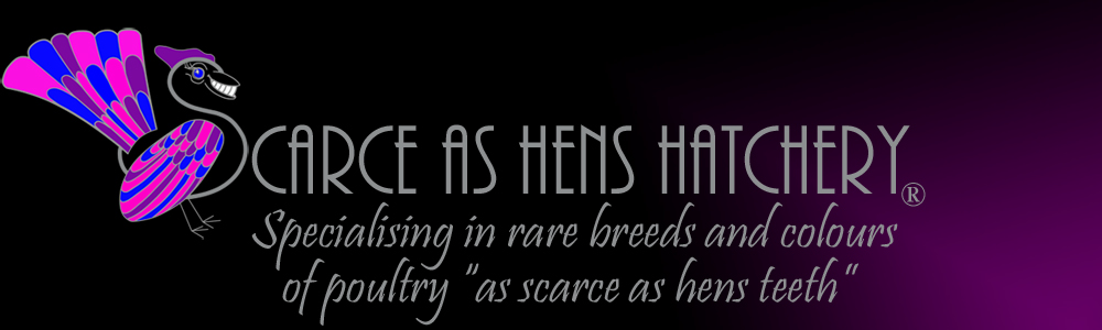 Scarce as hens